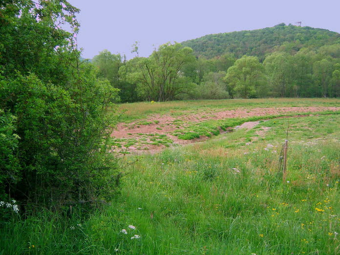 Rockeskyllaue 18 05 11 (1)