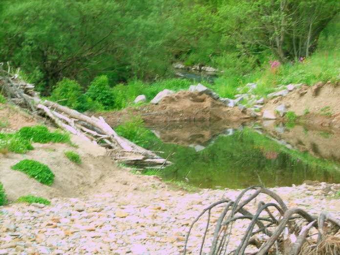 Rockeskyllaue 18 05 11 (14)