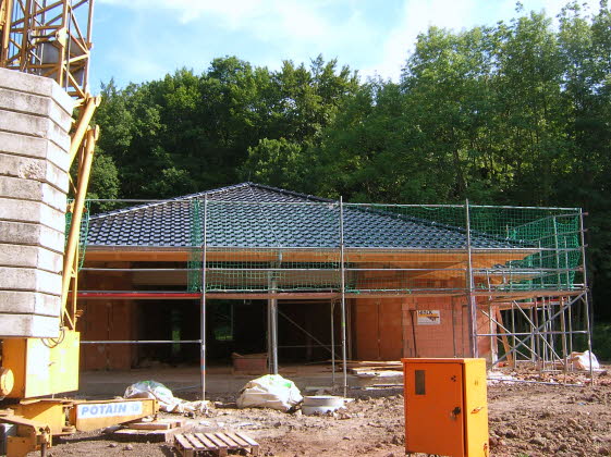 Waldfr10_07_08_ (13)