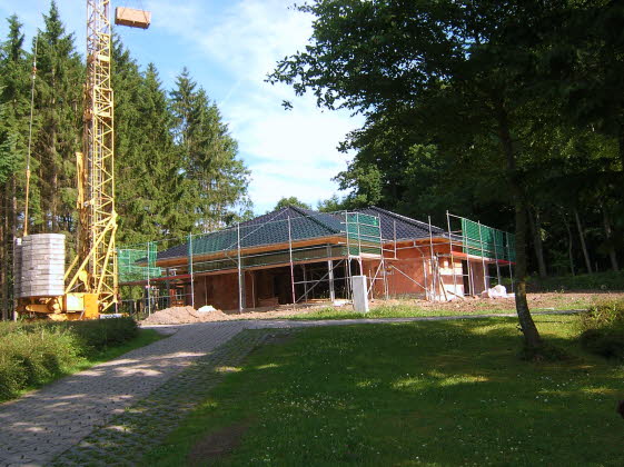 Waldfr10_07_08_ (15)