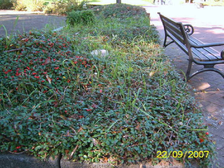 db_Hauptstr Bahnhof (29)7