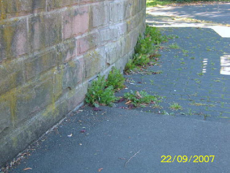 db_Hauptstr Bahnhof (58)7